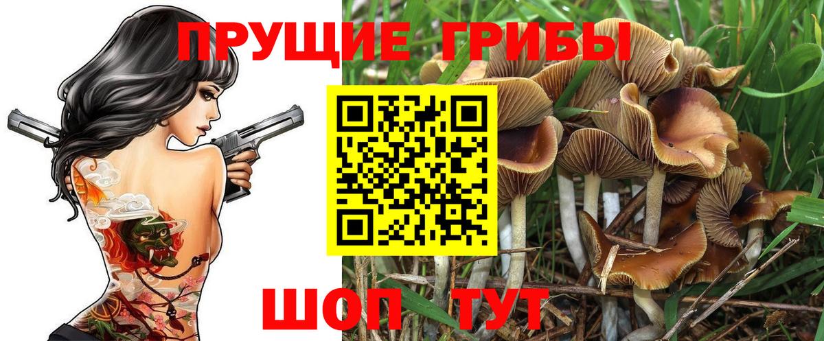Галлюциногенные грибы MAGIC MUSHROOMS Салехард